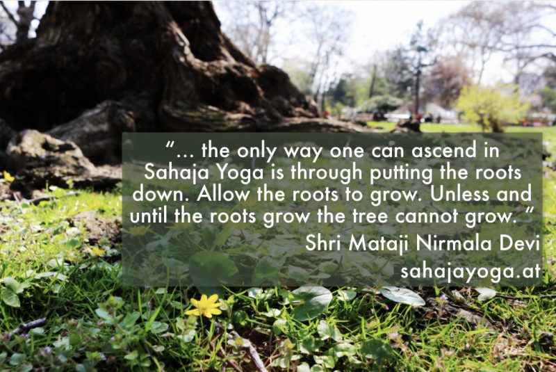 Unsere neue Website ist demnächst online!