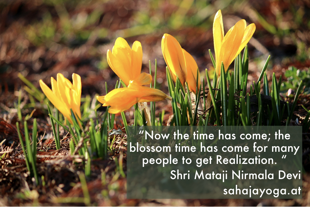 Crocus in spring "Now the time has come; the blossom time has come for many people to get Realization." Shri Mataji Nirmala Devi